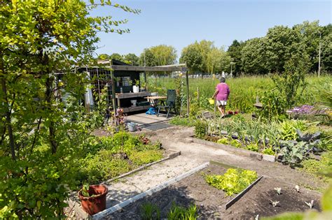  Leven met Tuinieren: Een Gedachte-Uitlokkende Reis Door De Weelde Van Groene Oases